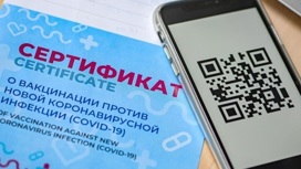 В Минцифры пояснили порядок получения COVID-сертификата по антителам