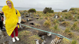 Пингвины взяли Ксению Собчак в заложницы на "лысом" острове