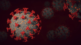 SARS-CoV-2 влияет на экспрессию эндогенных ретровирусных элементов  в лимфоцитах пациентов.
