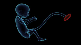 Искусственная матка с ИИ-няней уже вынашивает несколько эмбрионов