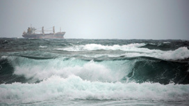 У берегов Японии потерпело бедствие российское судно