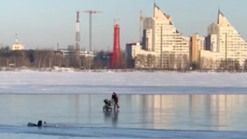 Воронежец на коньках и с детской коляской покатался на опасном льду водохранилища