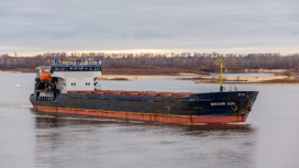 ЧП в Черном море: российский сухогруз отбуксировали в порт