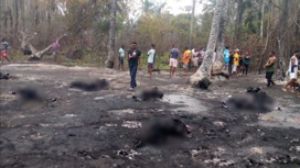 Более 100 человек заживо сгорели на нефтезаводе в Нигерии