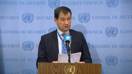 Совбез ООН не утвердил проекты резолюции о гумпомощи для Сирии