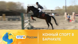 В Алтайском крае открыли сезон соревнований по конному спорту