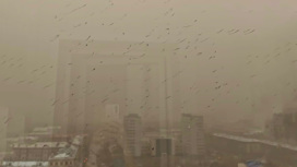 Город погрузился во мрак: пылевая буря бушует в Красноярске