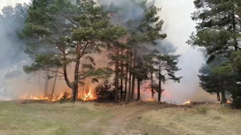 В Кузбассе объявлена чрезвычайная пожароопасность из-за ветра и жары