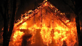 Жительница ЕАО случайно сожгла сарай соседа