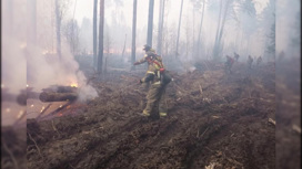Иркутская область вышла на первое место в стране по площади лесных возгораний. Ситуация на 18 мая