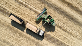 Херсонская и Запорожская области соберут свыше 2 млн тонн зерна