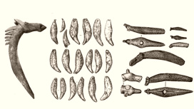 Подвески из человеческих костей найдены в древнем могильнике в Карелии