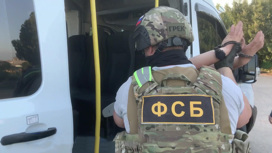 ФСБ задержала финансиста ИГИЛ, спонсировавшего резонансный теракт