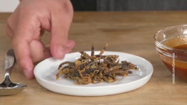 Британские ученые предлагают людям перейти с мяса на жуков