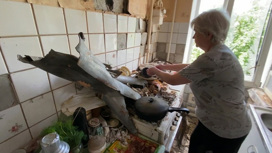В Харьковской области украинские нацисты обстреляли жилые дома