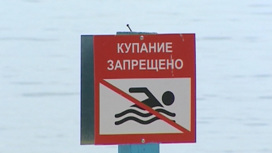 Региональный Роспотребнадзор не рекомендует купаться в Иркуте в Шелеховском районе