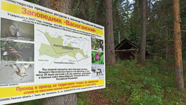 Тропы для туристов будут оборудованы в заповеднике "Васюганский"