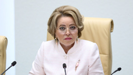 Матвиенко предложила до конца СВО наложить мораторий на закон о госзакупках