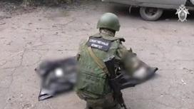 Следком нашел украинского сержанта, убившего мирного жителя в Мариуполе