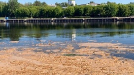 Минприроды сообщило подробности о загрязнении реки Волги в центре Твери
