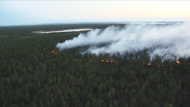 Высокую и чрезвычайную пожароопасность лесов прогнозируют 5 июля в Иркутской области