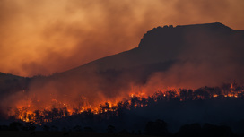 Лесной пожар в австралийском штате Тасмания.