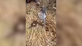 На полях в Ростовской области нашли линзы для поджога пшеницы