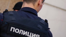 Предполагаемого налетчика на московские аптеки отправили под арест