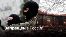 Украинский полк "Азов" признан террористической организацией
