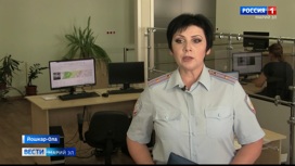 Йошкаролинка лишилась более 44 тысяч рублей, продавая торт через интернет
