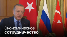 Эрдоган прокомментировал итоги переговоров в Сочи