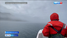 Ищут, чтобы спасти: в Охотском море продолжаются поиски гренландского кита