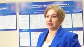 Сайт Госуслуги по ошибке "похоронил" многодетную мать из Челябинска