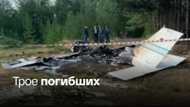 Появилось видео с места авиакатастрофы в Коми