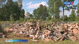Жители деревни Чёрное Батецкого района расценивают как акт вандализма результаты спила деревьев на местном кладбище.