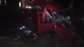 11 человек увезли в больницу после столкновения микроавтобуса и грузовика под Новосибирском
