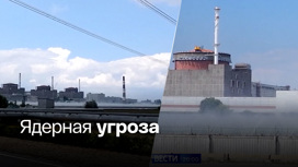 Западные СМИ представляют самые худшие сценарии на Запорожской АЭС