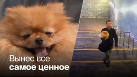Квартирный вор украл драгоценности и собаку в Москве