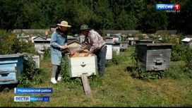Пчеловоды Марий Эл готовятся к Медовому Спасу