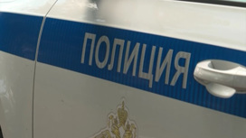 Полицейские задержали пьяную жительницу Назаровского района, которая перевозила в машине пятерых детей