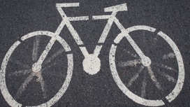 В Марий Эл задержан мужчина, укравший велосипед