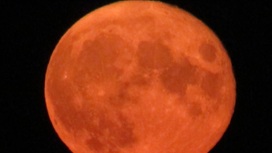Саратовцы в социальных сетях делятся снимками "кровавой луны"