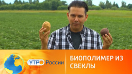 Российские ученые создают биополимеры из овощей