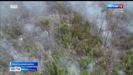 Лесной пожар в Нижегородской области: Площадь, пройденная огнем, приближается к трем тысячам гектаров
