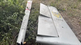 Украинские силовики наблюдают из леса, как выполняют задачи наши "Аллигаторы"