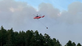 Площадь лесных пожаров в Рязанской области увеличилась вдвое