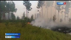В Нижегородской области ищут источник лесных пожаров