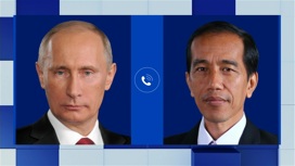 Владимир Путин провел телефонный разговор с президентом Индонезии