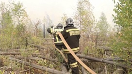 Самая сложная обстановка с природными пожарами – в Якутии