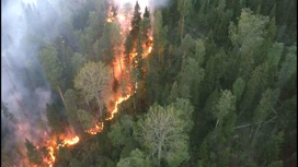 Нарушителей противопожарного режима в лесах области ждут серьезные штрафы